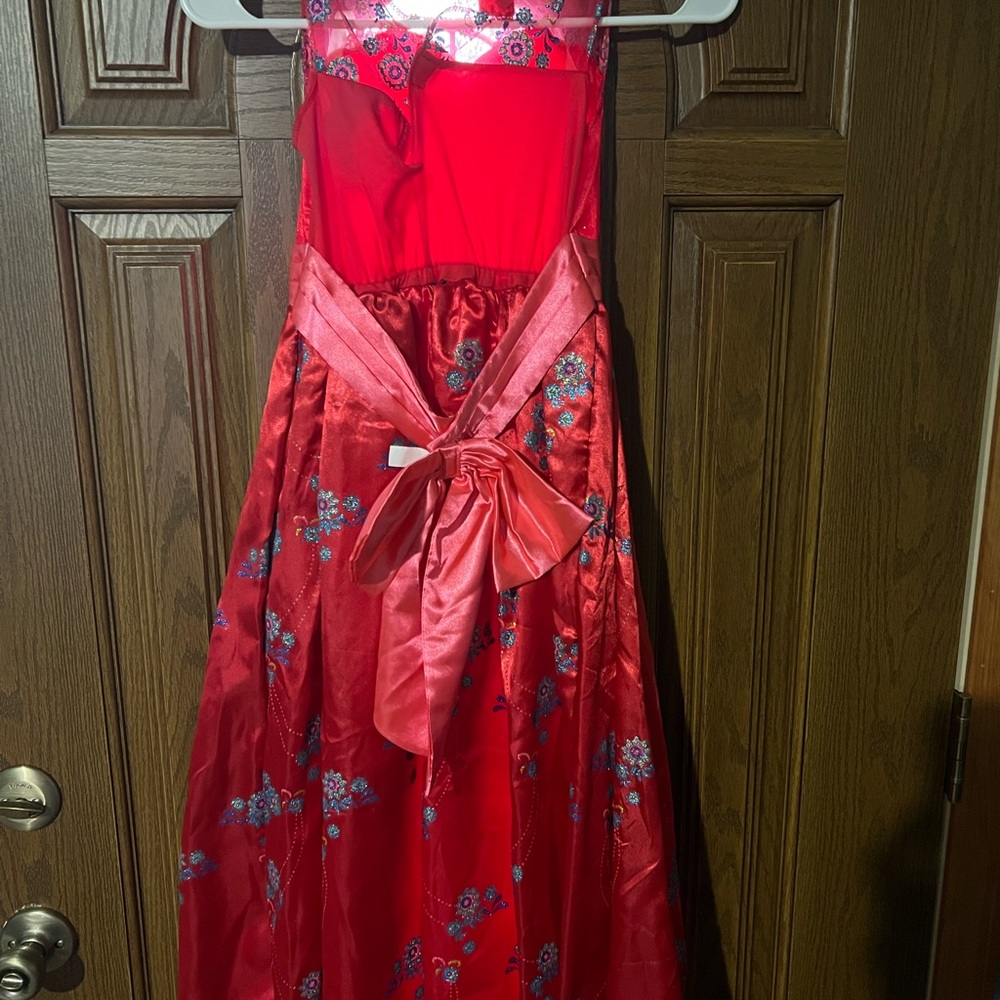 Disney Elena of Avalor Princess Custume